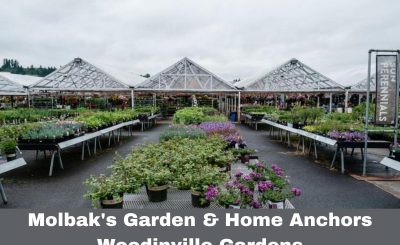 Molbak's Garden & Home Anchors Woodinville Gardens