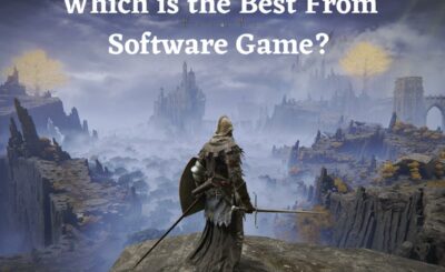 Which is the Best From Software Game?